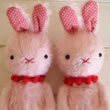 クッキー&シュガー