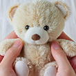 * 76 bear *